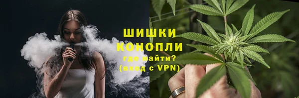 ГАЛЛЮЦИНОГЕННЫЕ ГРИБЫ Алзамай