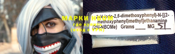 ГАЛЛЮЦИНОГЕННЫЕ ГРИБЫ Алзамай